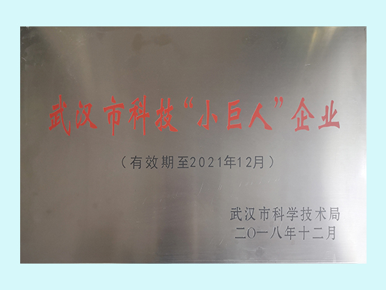 武汉市科技“小巨人”企业