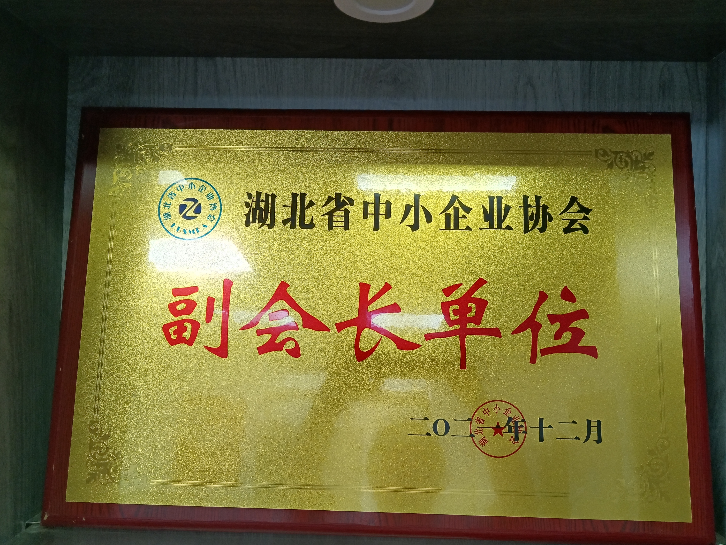 湖北省中小企业协会副会长单位